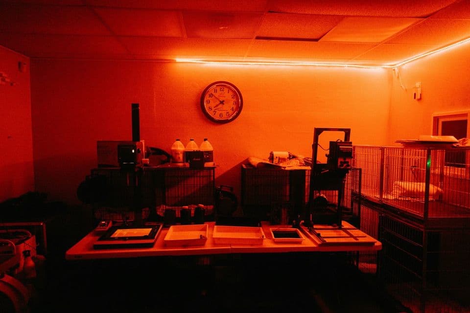 A darkroom under red safelight: a row of empty developing trays on a workbench, an enlarger beside them, and a clock on the wall