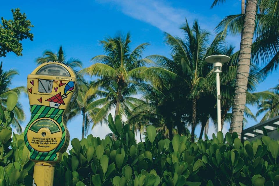 A brightly painted street meter against palm trees, labelled NOT for parking and asking for spare coins for charity