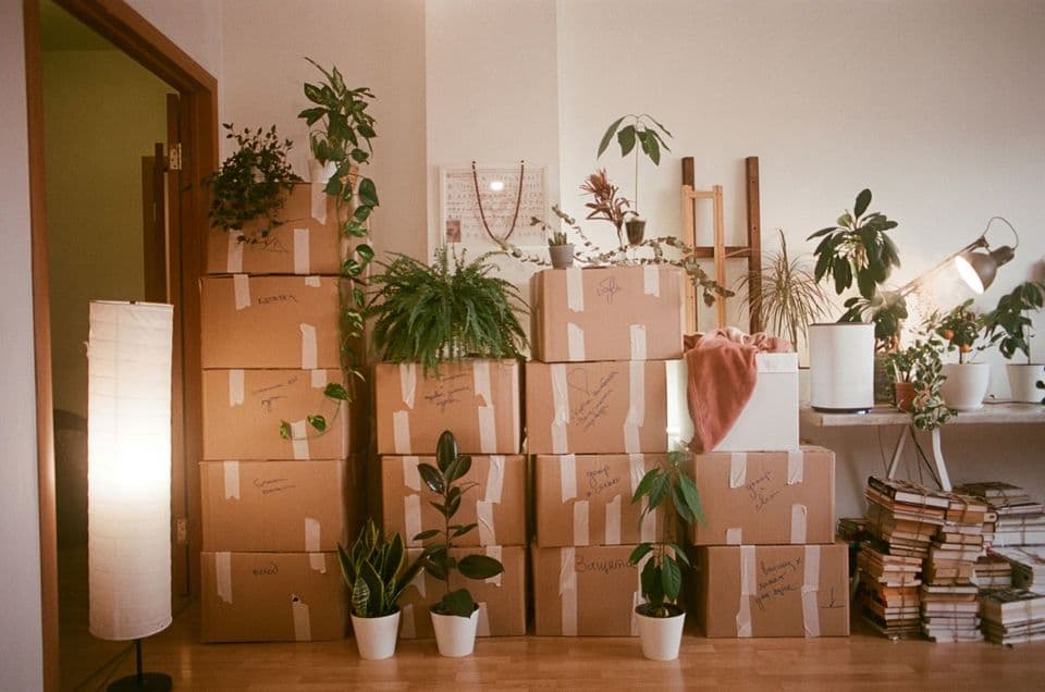 Cardboard boxes taped shut and stacked chest-high in a lived-in room, labelled by hand, with potted plants and tied bundles of books around them