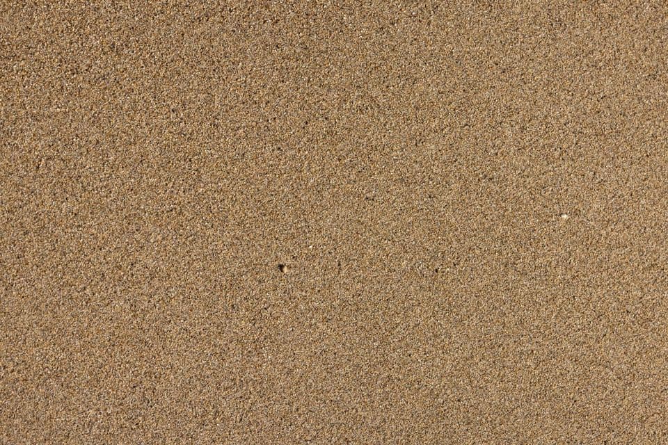 Close-up of fine dry sand filling the whole frame, a single pale grain catching the light near the centre